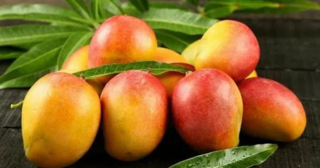 Fresh Mangoes from Pakistan displayed with factors influencing their price."