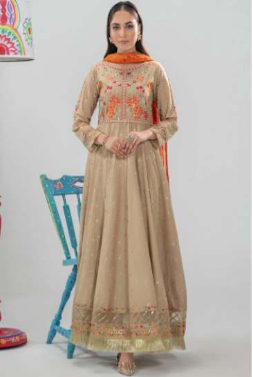 Shop Pakistani Dresses Online USA: Celebrate Culture with Every Outfit