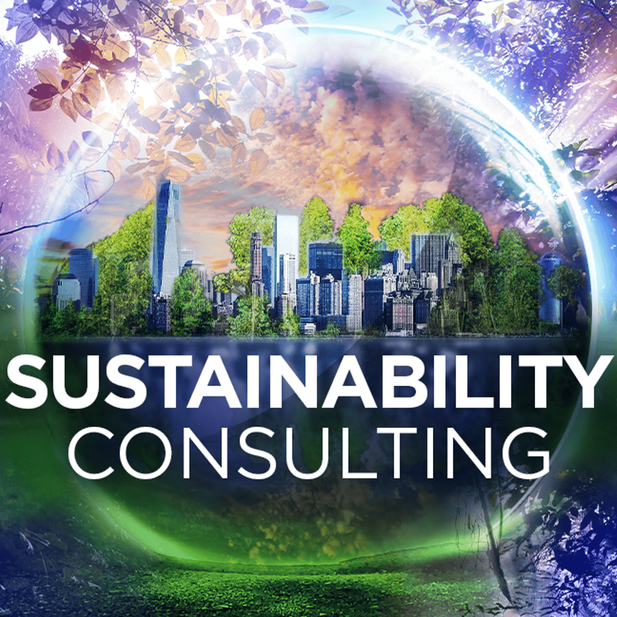 Sustainability Consulting: Driving Change for a Greener Future