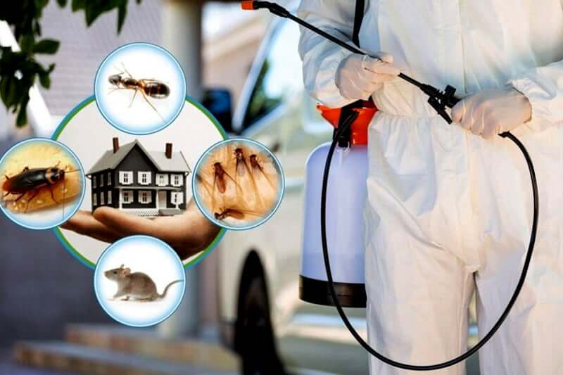 Pest Control Service Cuyahoga County