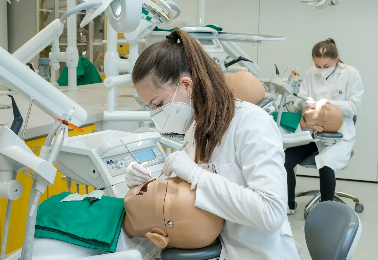 Study Medicine & Dentistry Abroad: A Comprehensive Guide