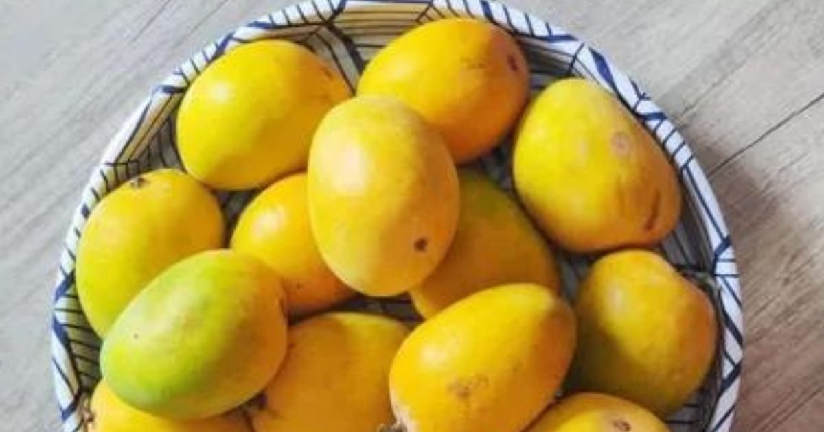 Comparing Mango Price in Pakistan 2024: Which Vendors Offer the Best Deals?