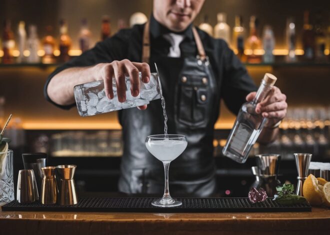 How to Craft the Perfect Dry Gin Martini Like a Pro 2024!