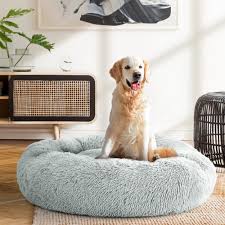 Dog Beds in Australia: The Ultimate Comfort for Your Pet