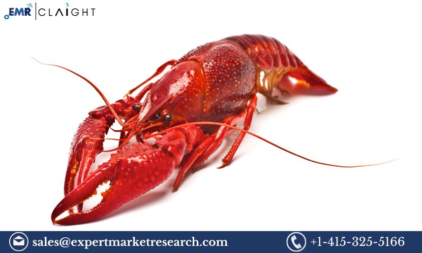 Crayfish Market Demand, Size, Share and Growth | 2032