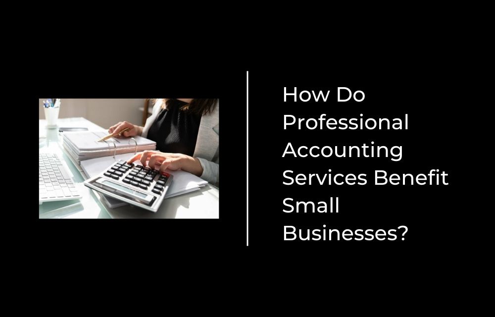 How Do Professional Accounting Services Benefit Small Businesses?