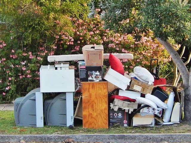 Remove Junk from Home: A Complete Guide to Decluttering Your Living Space