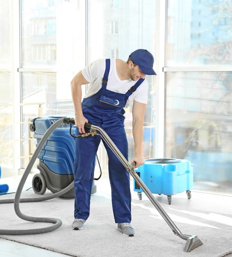 Top 5 Reasons to Hire Loveland Carpet Cleaning Professionals