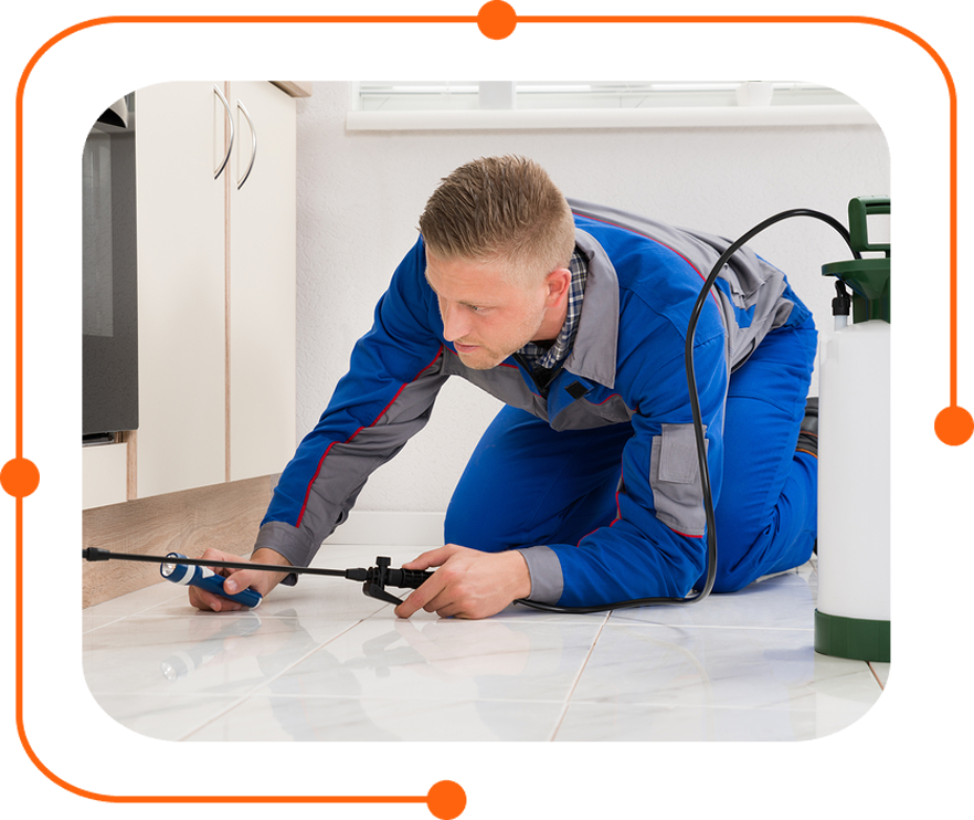 Pest Control Melbourne