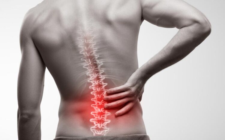 Back Pain Management: When to Use Heat or Ice