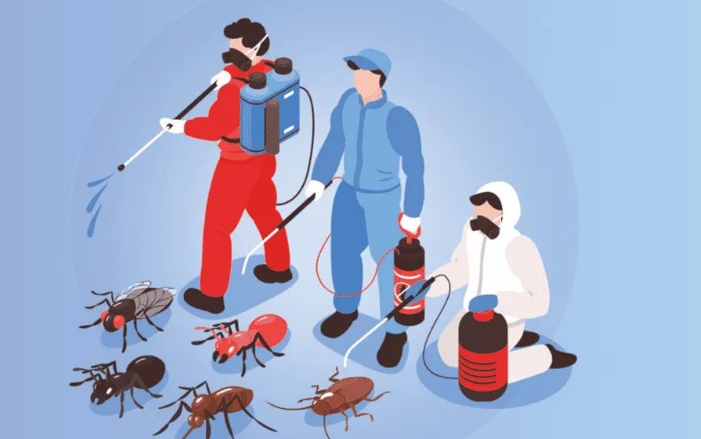 Effective Termite Control Services in Lahore to Protect Your Home