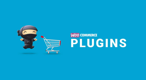 Best WooCommerce Extensions