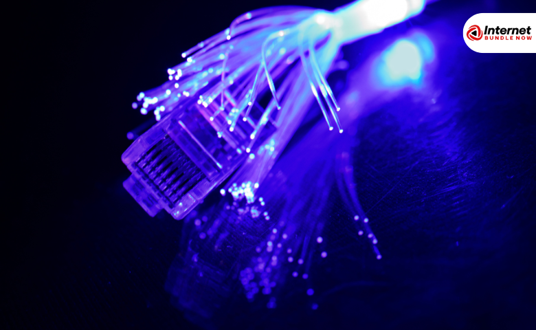 Exploring the Affordability of Frontier Fiber Optic Internet for Families