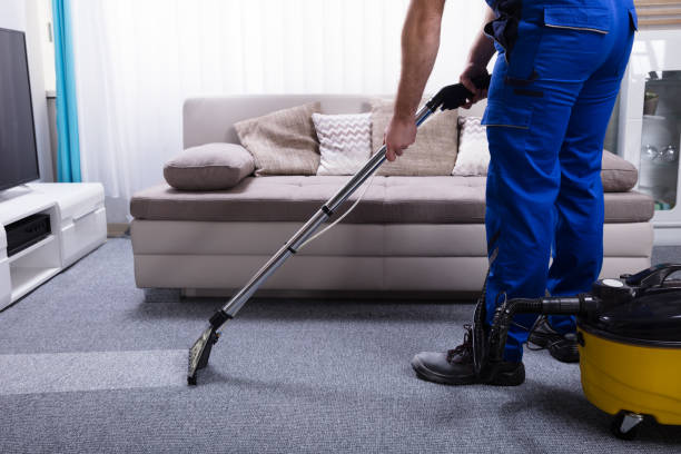 Importance of Carpet Cleaning and Vacuuming Services for Your Home